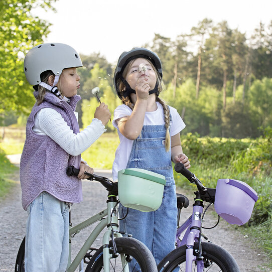 Lori Basket, Panier à vélo pour enfants avec attache pour Support Guidon